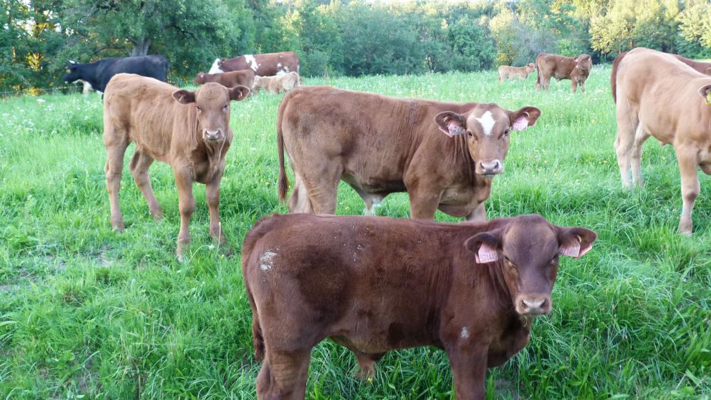 Na hospodaření se podílí celá rodina