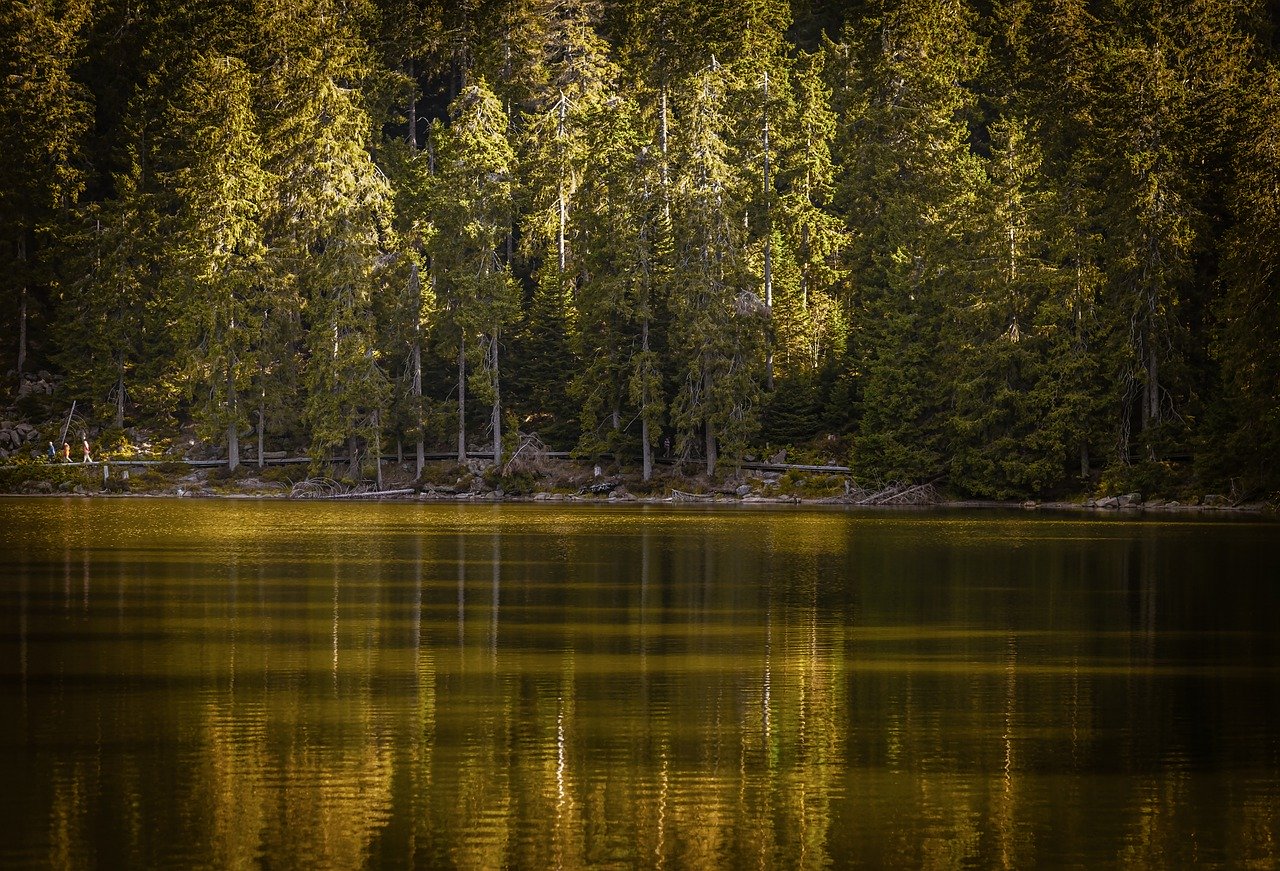 Dovolená v tuzemsku je volbou čím dál více Čechů. Co nás v Česku tak láká?
